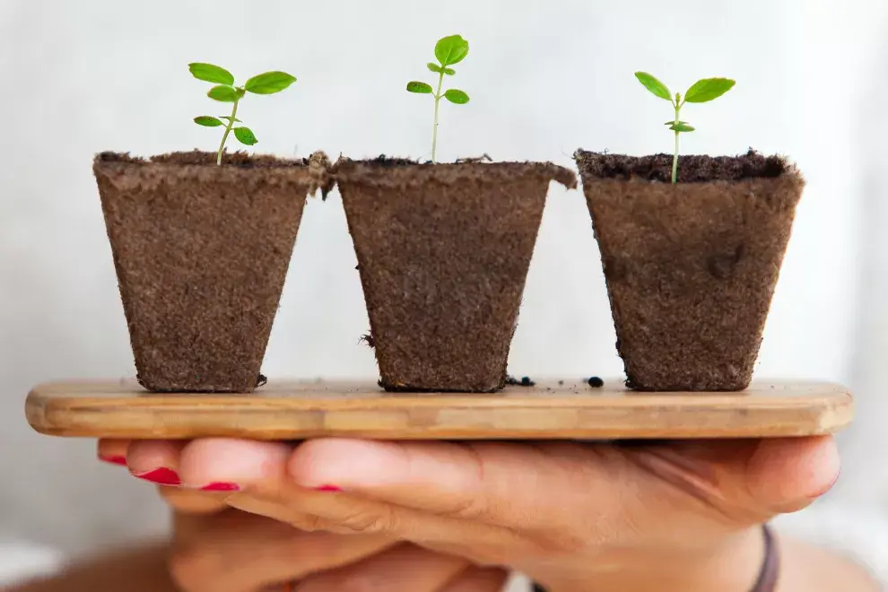 Más vale prevenir que curar