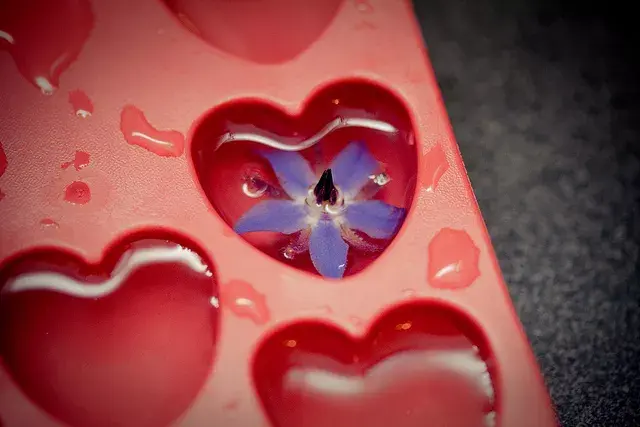Hielos en forma de corazón, decorados con flores