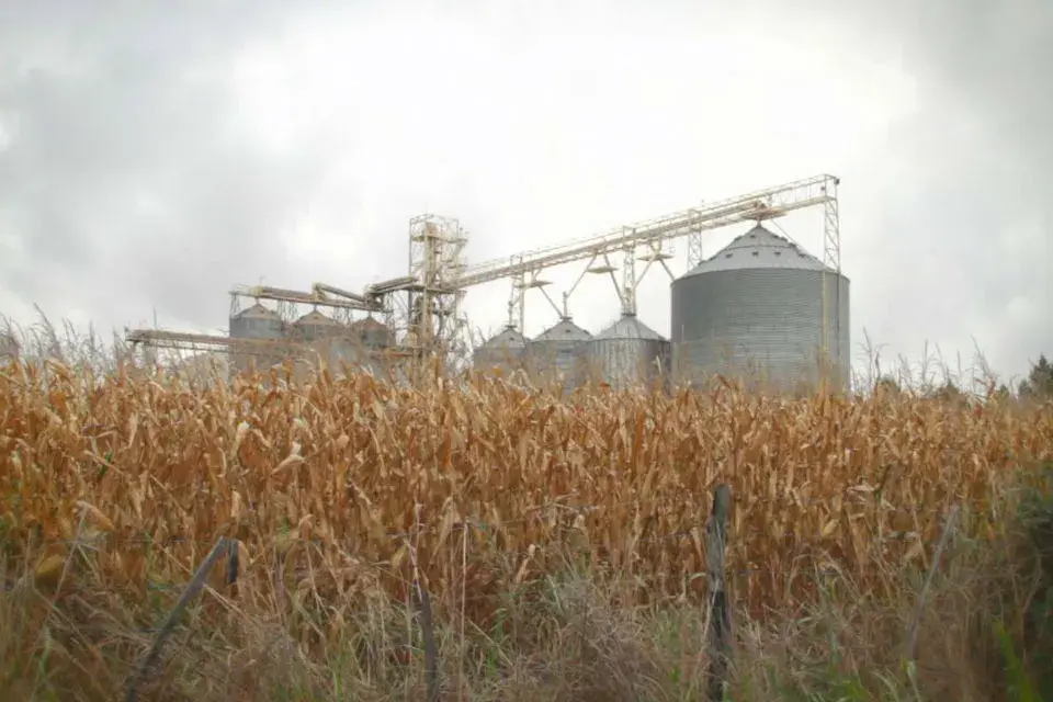 ¿Cuál es el problema del agronegocio? Pueblo Verde da una mirada integral