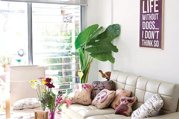 El living, bien luminoso, con almohadones y objetos con estampa de perro