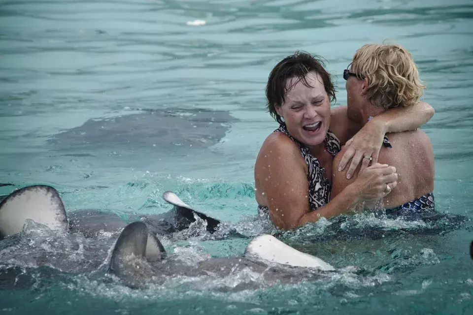 Stingray city: la excursión obligatoria para los viajen a Caymán