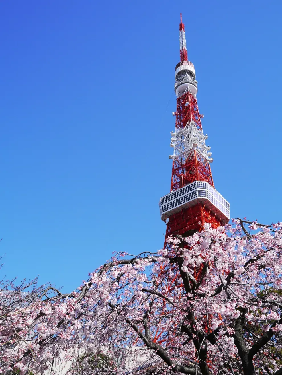 Como en París, pero en Tokio
