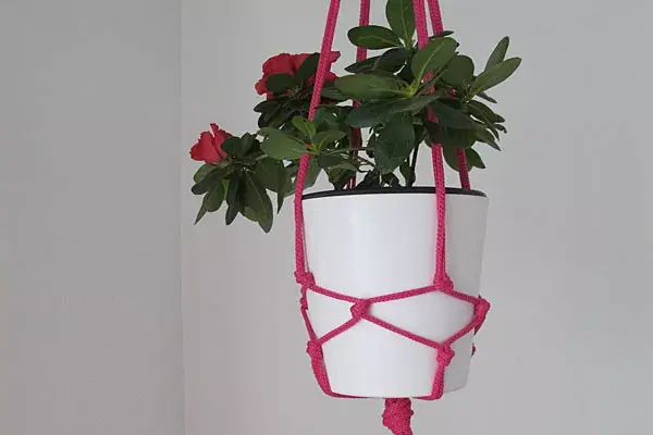 El mismo porta macetas "de nudos" en color rosa