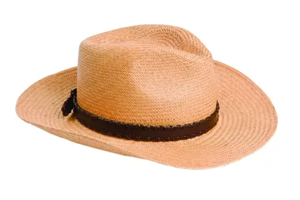 Clásico chambergo (Cardón, $499)