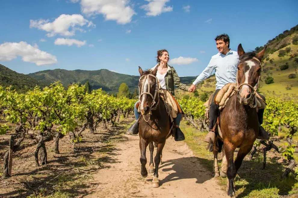 Cabalgata entre los viñedos en el Valle de Maule, otra de las rutas del vino chilenas