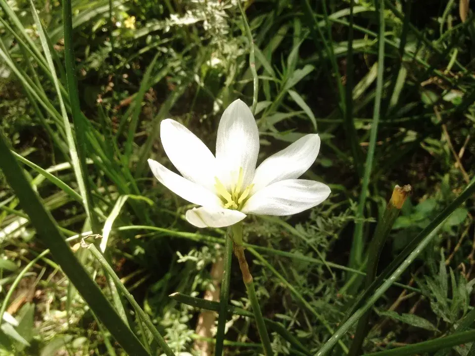 El contexto se hace texto