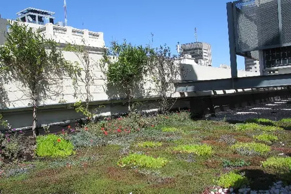 ¡Decoralo con las plantas que más te gusten!