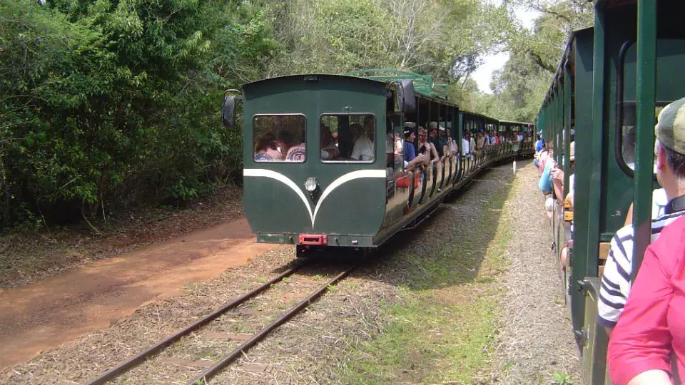Tren Ecológico de la Selva