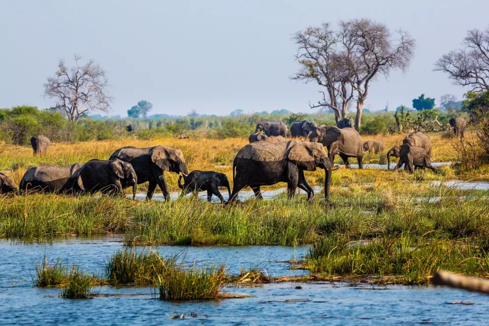 Namibia. Gentileza Nat Geo. Foto: Radek Borovka/Alamy Stock Photo 