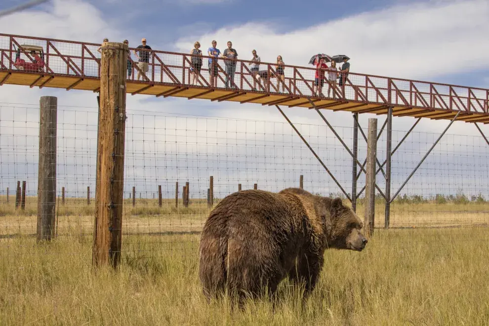 The Wild Animal Sanctuary en Keenesburg, Colorado.