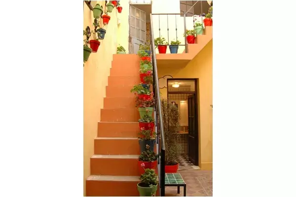 Agregando macetas divertidas con plantas logras un ambiente relajado