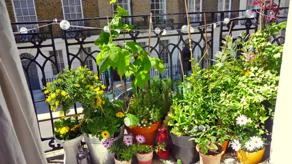 ¡Ponele onda a tu balcón con plantas de muchos colores y flores!