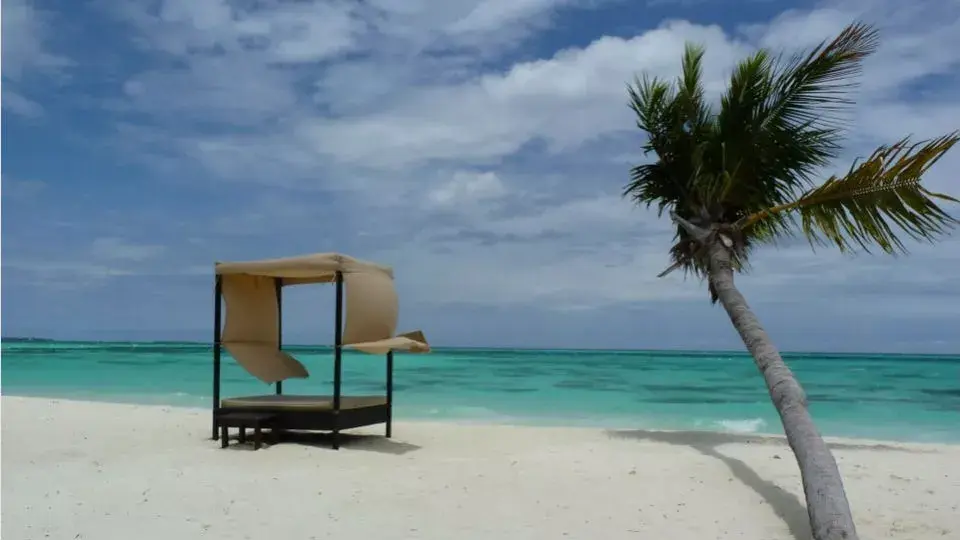Isla de Palm