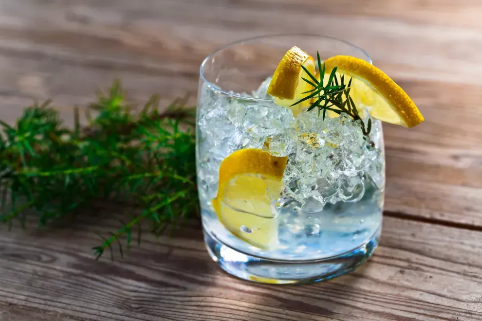 El 11 de junio se celebra el Día Internacional del Gin Tonic