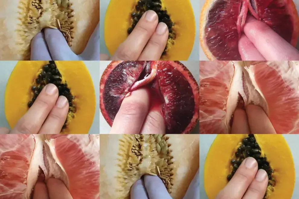 Stephanie Sarley y Megumi Igarashi, dos pioneras del arte vulvar.