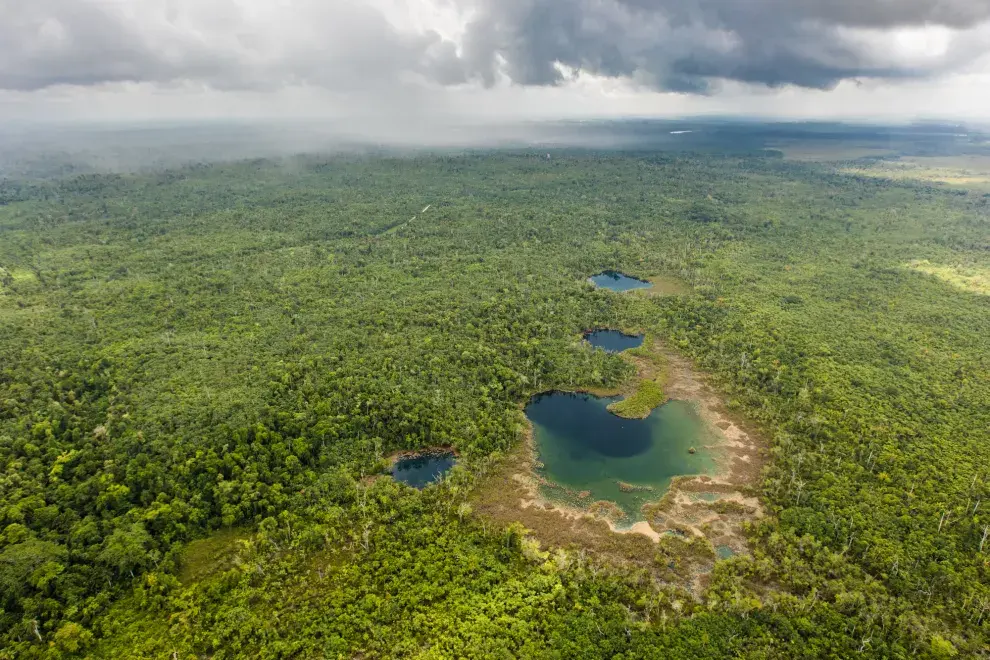 Fentileza de NatGeo. Foto: Tony Roth/The Nature Conservancy