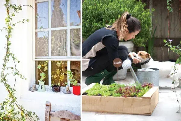 El ventanal con suculentas para mirar el jardín desde la cocina