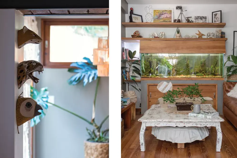 Máscaras de zorro, yaguareté y lechuza, talladas en madera por la comunidad chané. Las compraron en un viaje a Jujuy. 