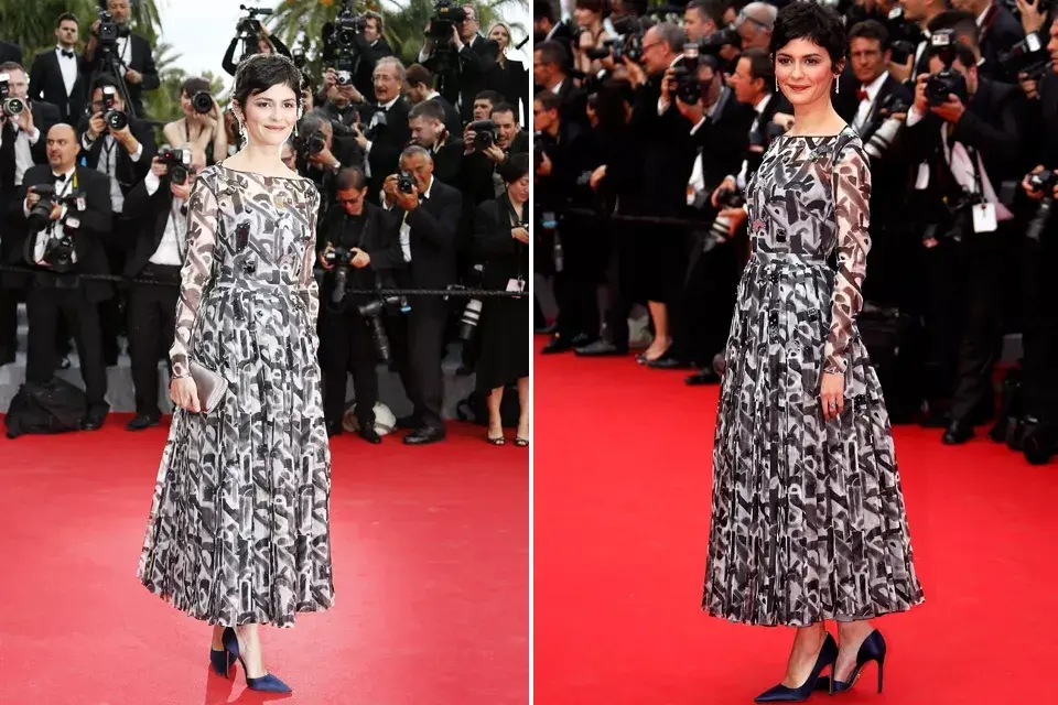 Audrey Tautou optó por un diseño de Prada para pisar la alfombra roja. Aunque no desentona con su elección, la hemos visto mejor vestida en varias oportunidades