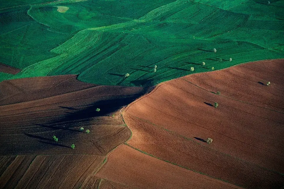Agricole bicolore entre Ankara et Hattousa, Anatolie, Turquie. Copyright: © Yann Arthus-Bertrand / altitude-photo.com