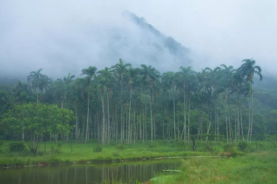 Hay 106 playas, a las que se puede acceder a pie, atravesando caminos entre la selva