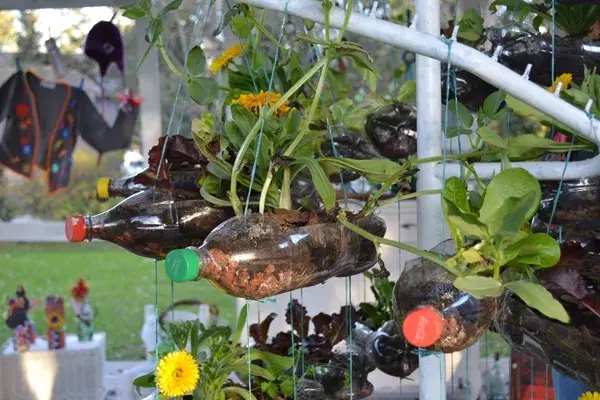 El espacio de la Ing. Agrónoma María Alejandra Di Fabio combina diseño con sustentabilidad. En esta foto, una huerta vertical, hecha con botellas colgadas de un perchero.
