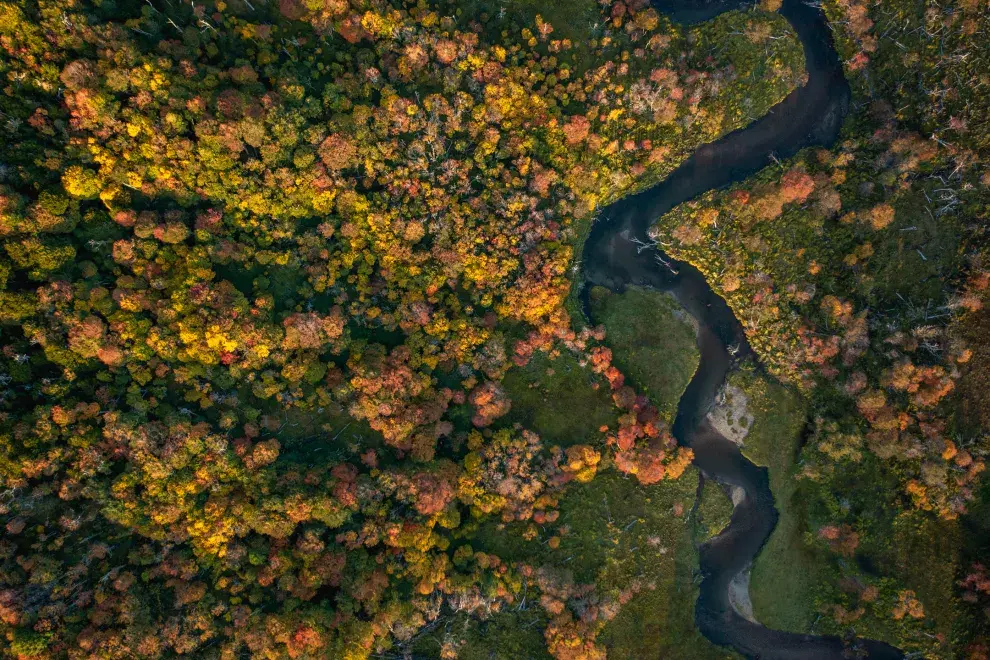 Si amás la naturaleza, Ushuaia tiene algunos de los escenarios más lindos de toda Argentina.