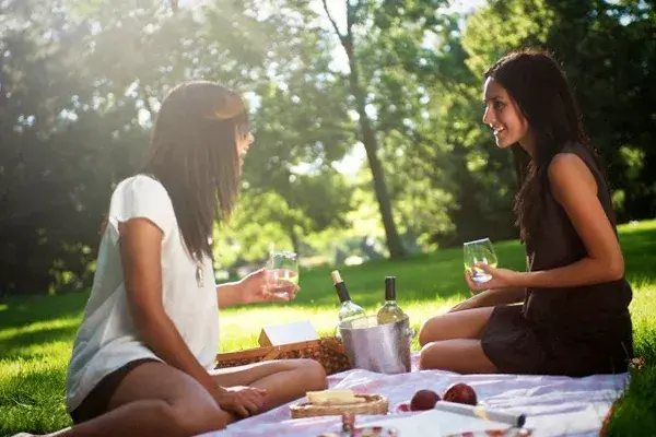 Disfrutá de un picnic de lujo con tus amigas o pareja
