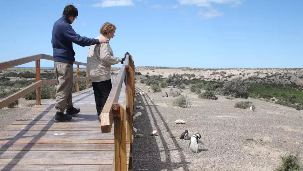Punta Tombo