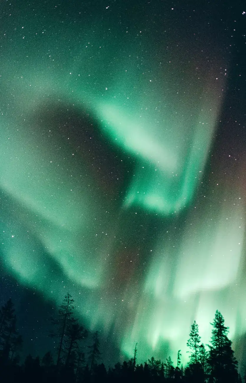 Ylläsjärvi, Finlandia. La aurora boreal en una noche helada de marzo en Ylläsjarvi, un pequeño pueblo en la Laponia finlandesa. .