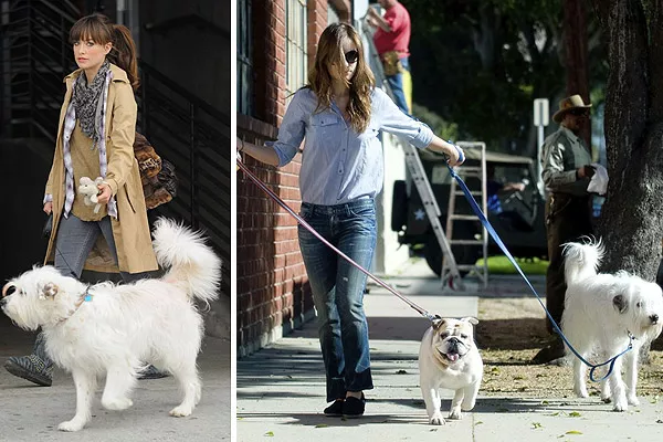 A Olivia Wilde le gusta usar camisas, combinadas con remera, pantalón y abrigo, o con un jean