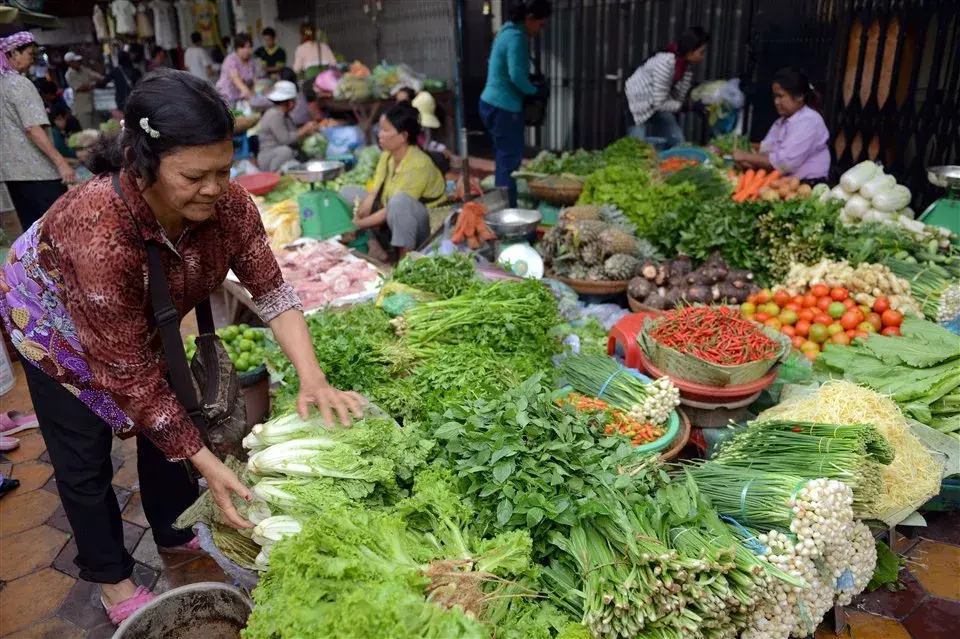 Gran variedad de vegetales para elegir en un mercado de Phnom Penh