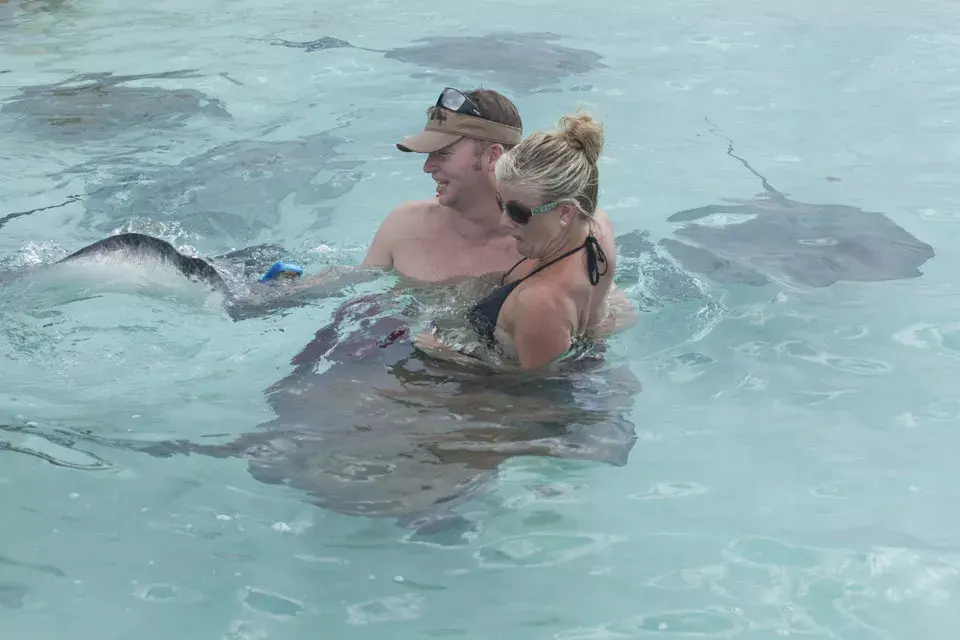 Stingray city: la excursión obligatoria para los viajen a Caymán