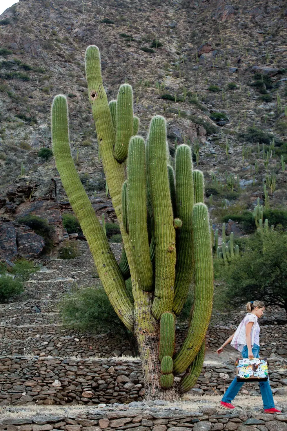 Ruinas de los Quilmes, en los valles calchaquíes. Xavier Martín