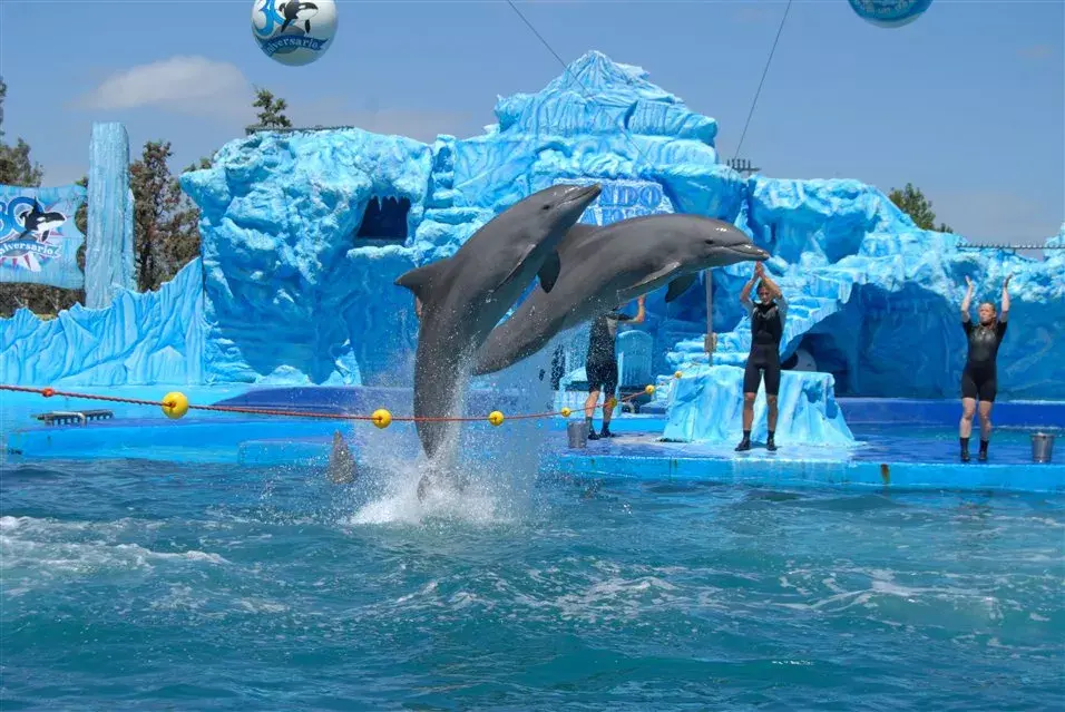 El show de delfines en Mundo Marino, San Clemente