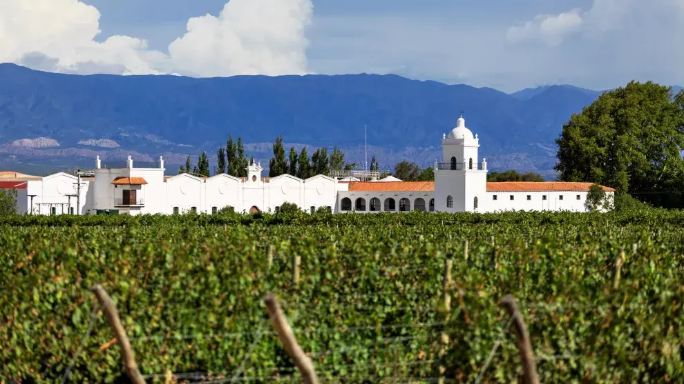 Rodeada de un paisaje tallado por el sol, las montañas y los viñedos, El Esteco es una de las bodegas de alta gama de Cafayate