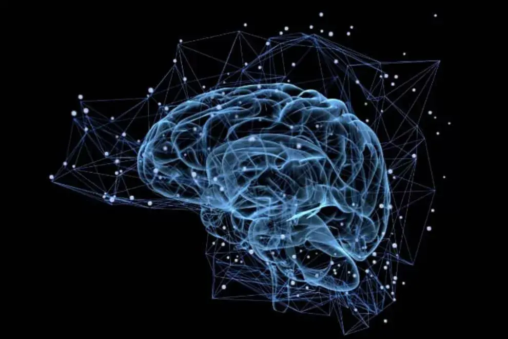 Neurociencias: realizan un gran aporte en el tratamiento de los traumas