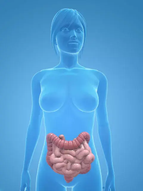 Beneficios de la Hidroterapia colónica. Foto: Latin Stock