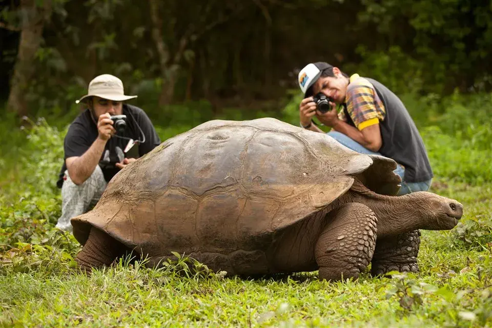 La galapaguera de cerro Colorado