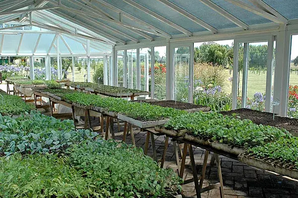 Uno de los espacios de cultivo que hay en la huerta