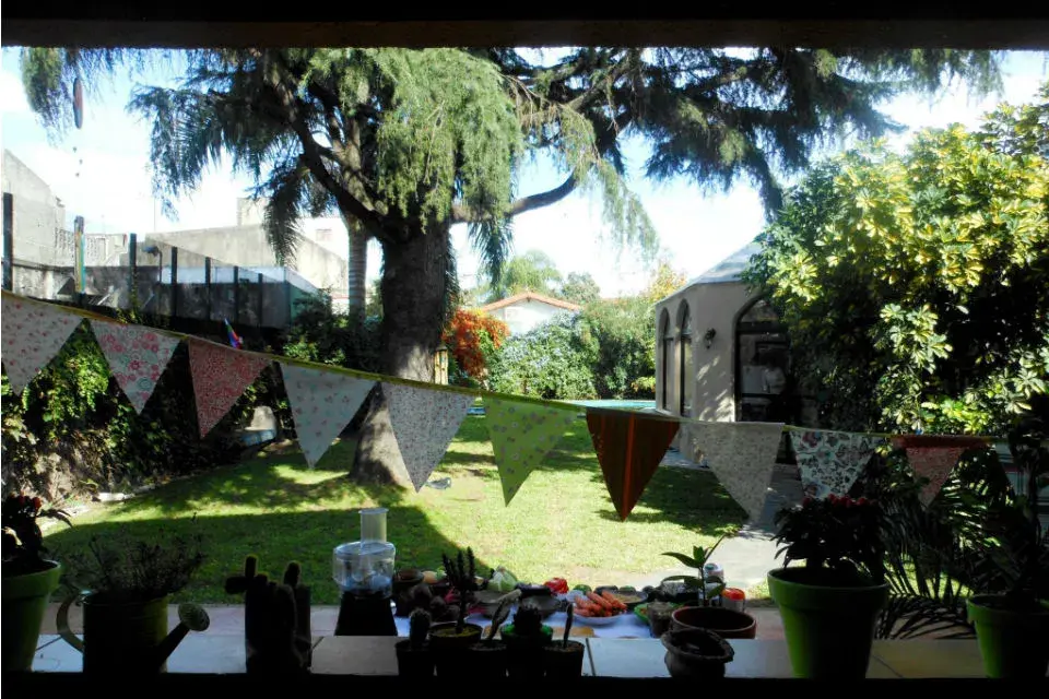 Parque desde la ventana