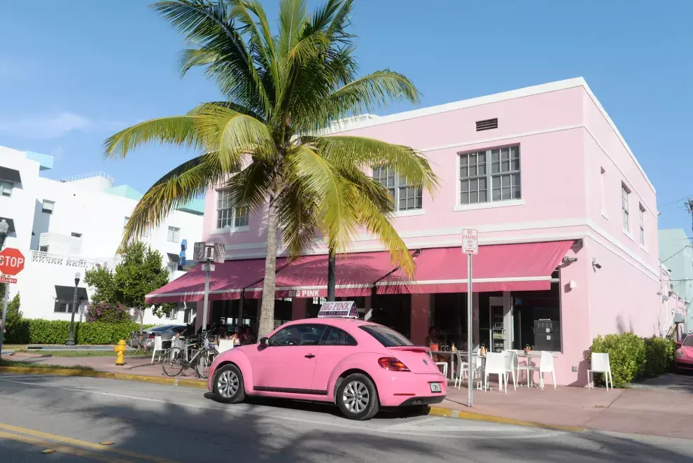 Rosa, palmeras y flamencos, uno de los lugares clásicos para comer
