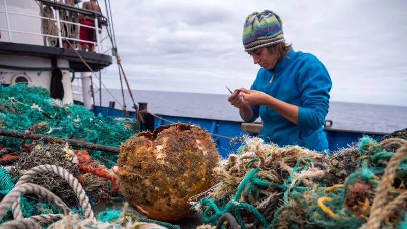 Investigadores y activistas en todo el mundo recolecta residuos en los océanos