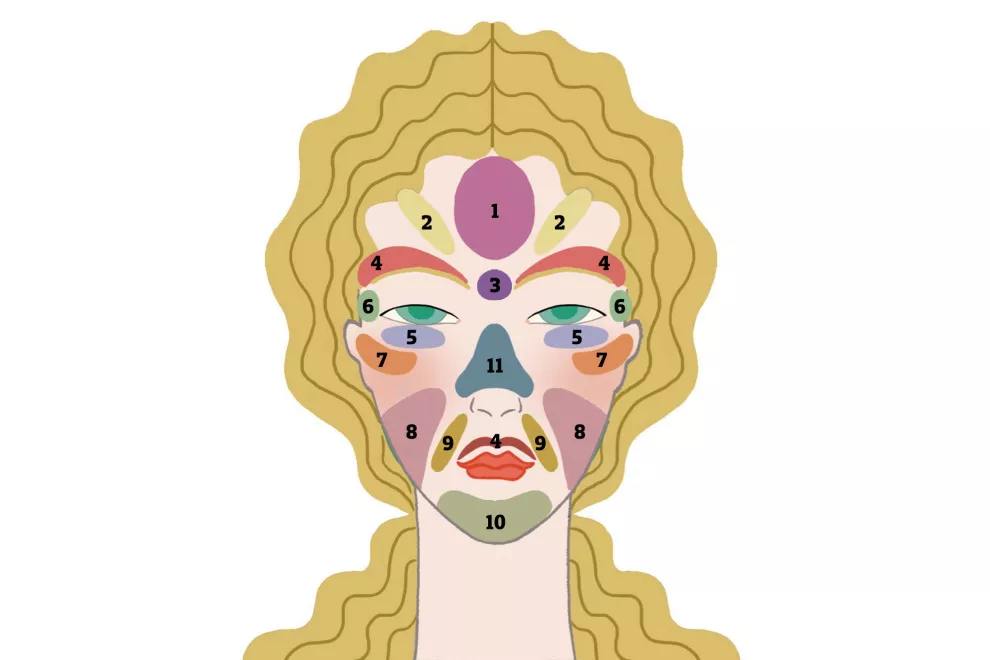 Cada punto del rostro refleja una zona del cuerpo.