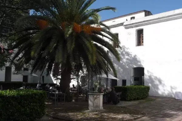 En un patio increíble, refrescate con un licuado de maracuyá y naranja