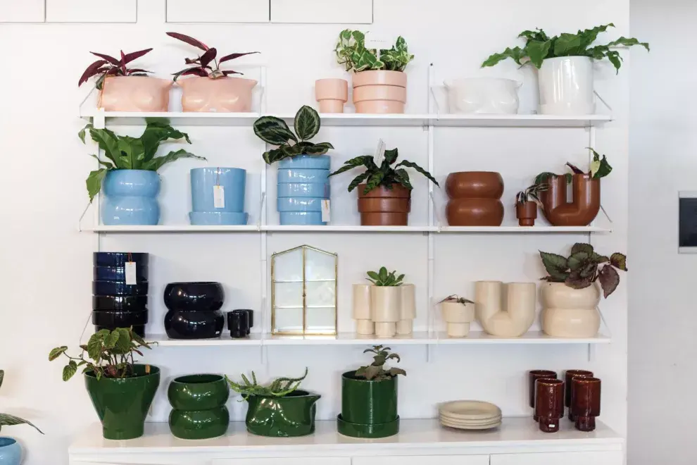 Restaurantes rodeados de verde