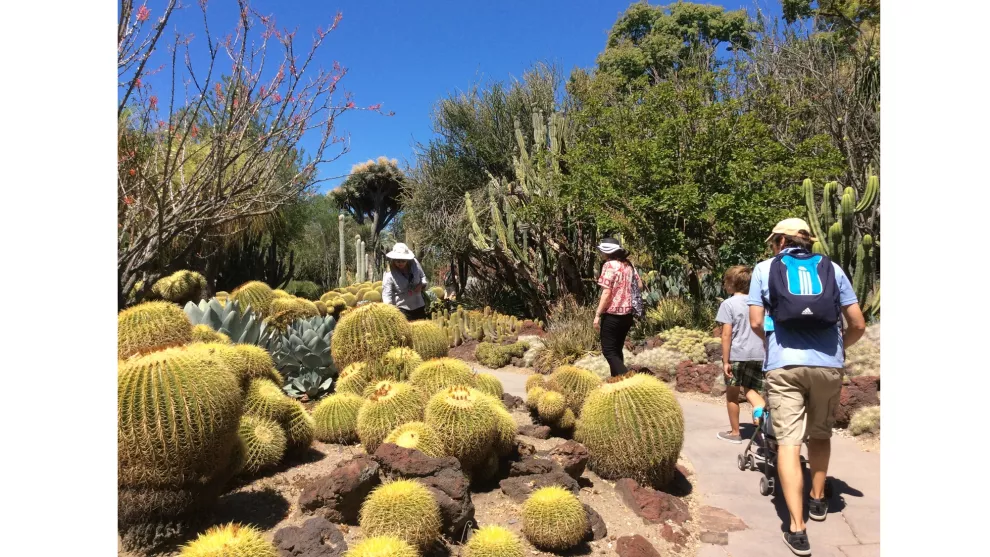 El espectacular jardín de cactus de Huntington cuenta con más de 5 mil especies