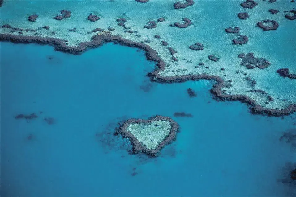 Las dos mejores formas de conocer la barrera, la mayor estructura de nuestro planeta formada por seres vivos, es bajo el agua o desde el aire