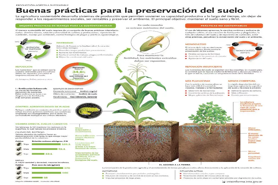 Infografía de Buenas prácticas. INTA.