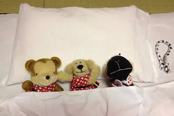 ¡A dormir!